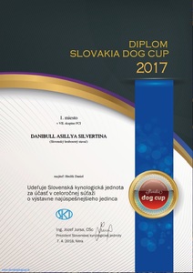 najlepsi-stavac-na-slovensku-2017-(1)